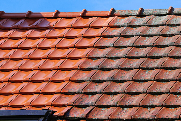 Boost Your Pressure Washing Business with Professional Web Design